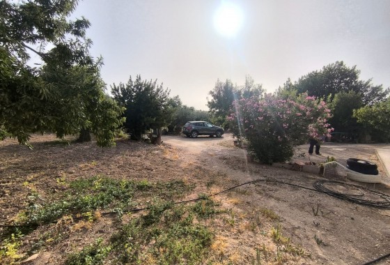 Reventa - Property - Pinoso - Inland