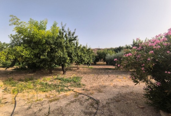 Reventa - Property - Pinoso - Inland