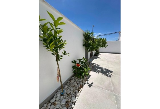 Resale - Bungalow - Torrevieja - La Siesta - El Salado - Torreta