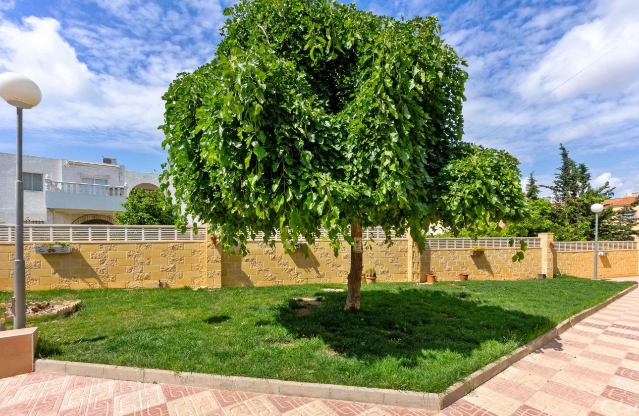 Resale - Apartment / flat - Torrevieja - El chaparral