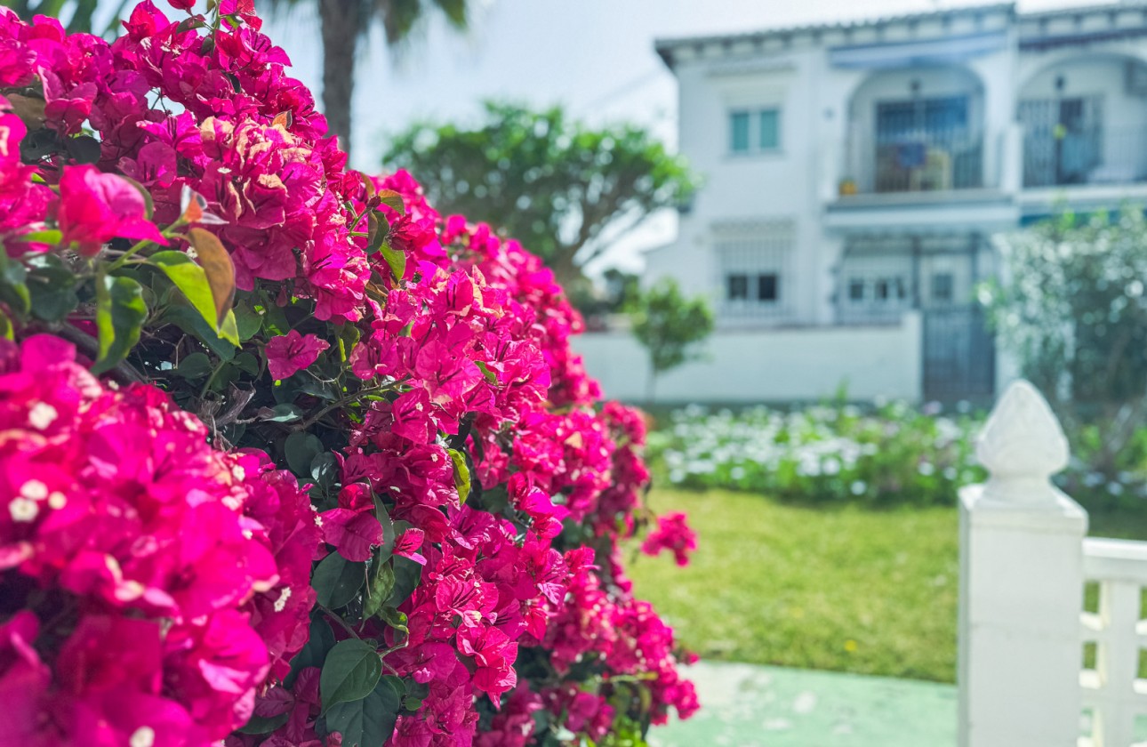 Resale - Bungalow - Torrevieja - Costa Blanca