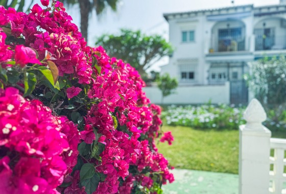 Resale - Bungalow - Torrevieja - Costa Blanca
