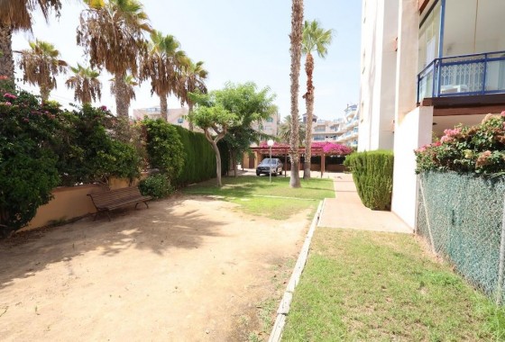 Reventa - Apartamento / piso - Orihuela Costa - Costa Blanca