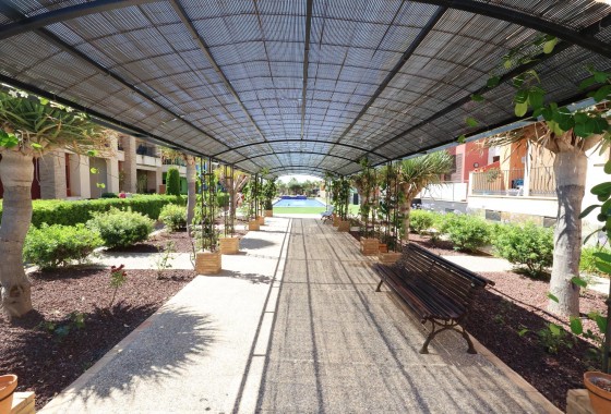 Reventa - Apartamento / piso - Orihuela Costa - Costa Blanca