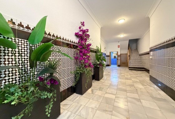 Resale - Apartment / flat - Torrevieja - Playa del Cura