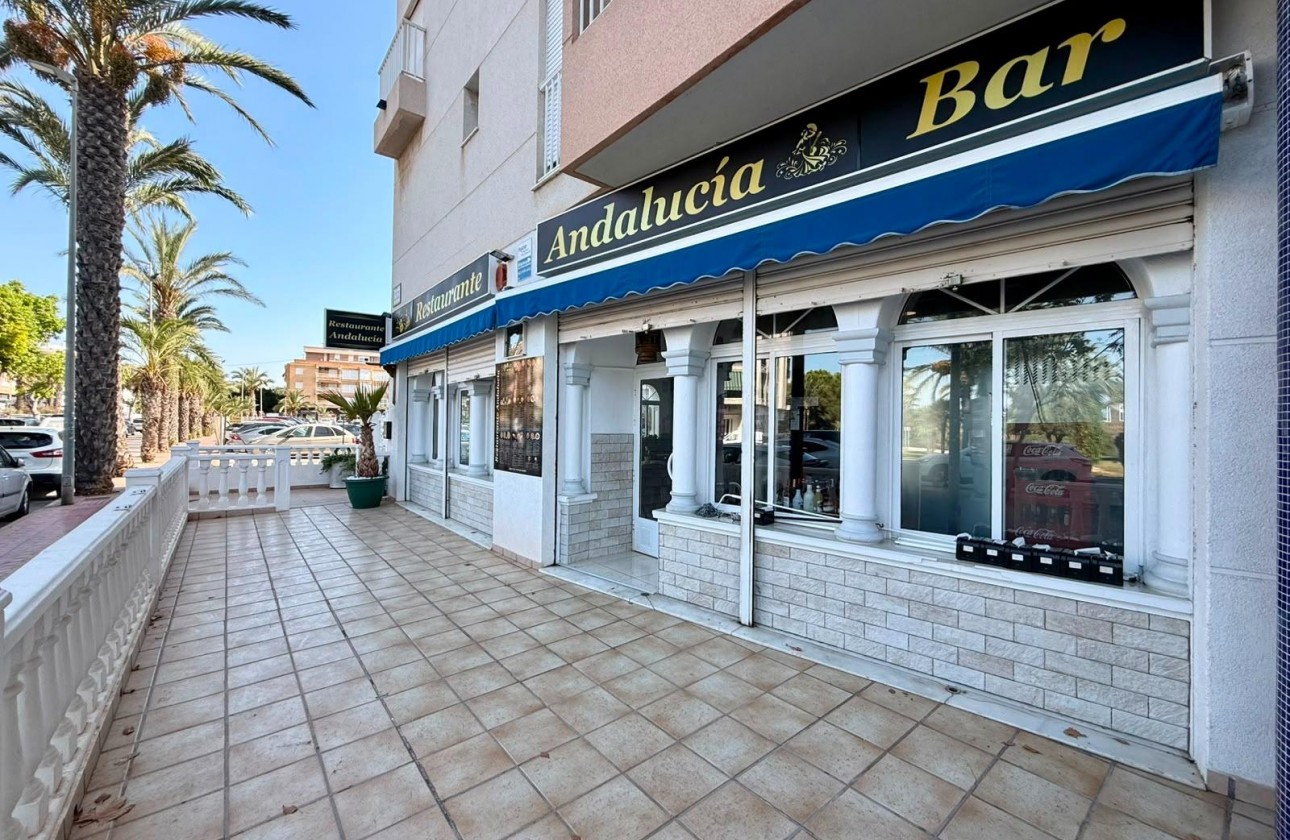 Reventa - Comercial - Guardamar del Segura - Los secanos