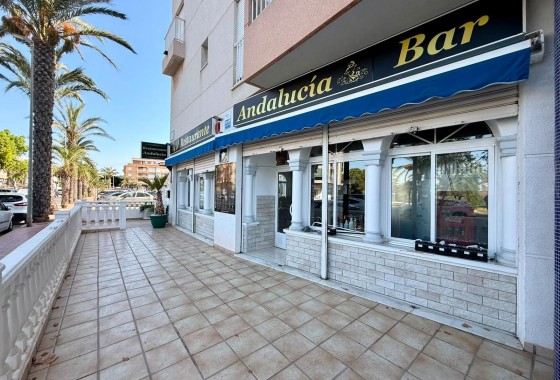Reventa - Comercial - Guardamar del Segura - Los secanos