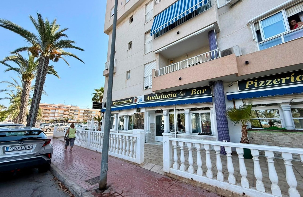 Reventa - Comercial - Guardamar del Segura - Los secanos