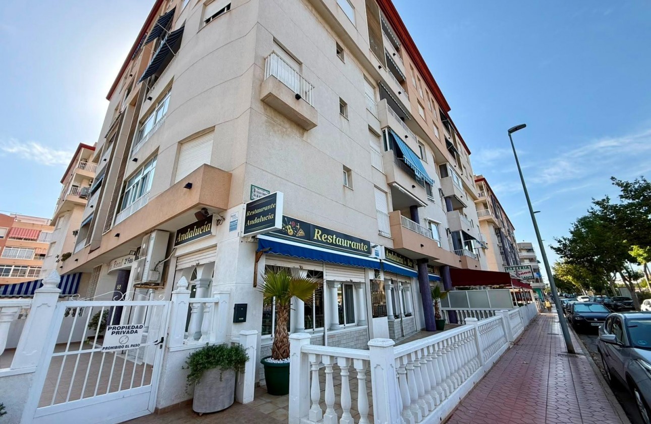 Reventa - Comercial - Guardamar del Segura - Los secanos