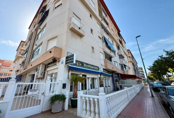 Reventa - Comercial - Guardamar del Segura - Los secanos