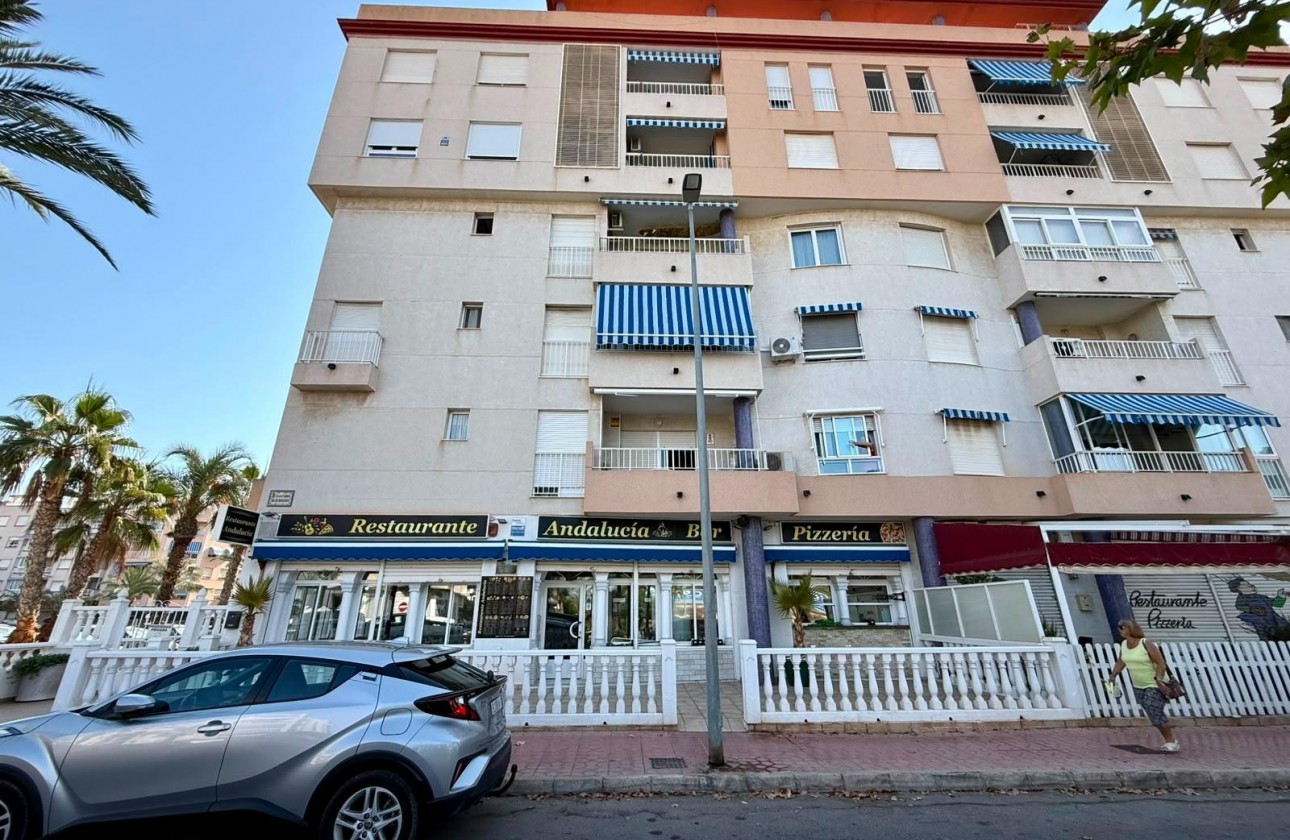 Reventa - Comercial - Guardamar del Segura - Los secanos