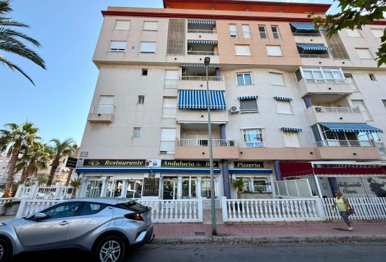 Reventa - Comercial - Guardamar del Segura - Los secanos