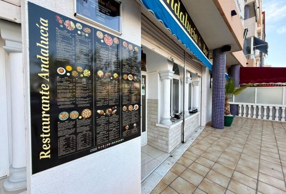 Reventa - Comercial - Guardamar del Segura - Los secanos