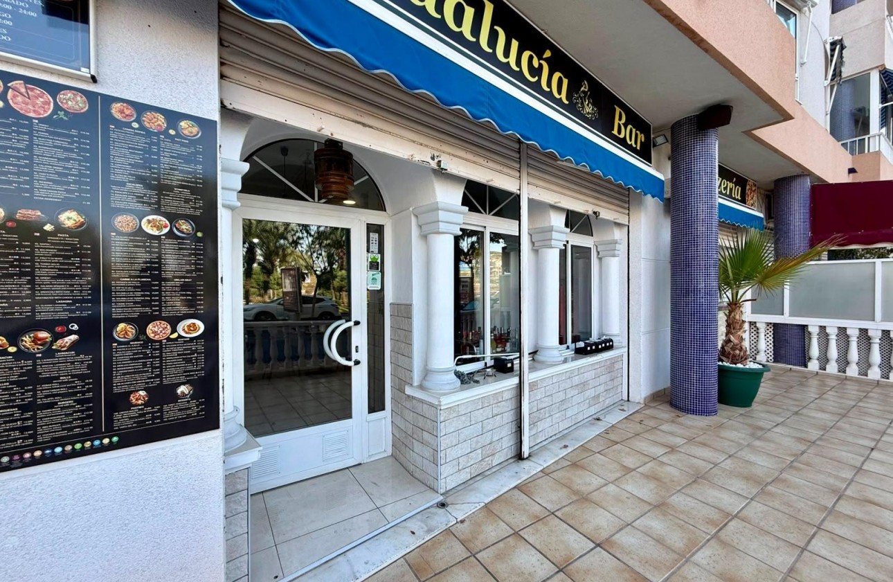 Reventa - Comercial - Guardamar del Segura - Los secanos