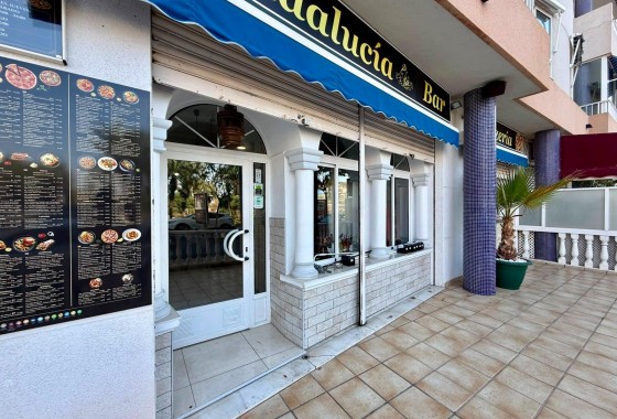 Reventa - Comercial - Guardamar del Segura - Los secanos