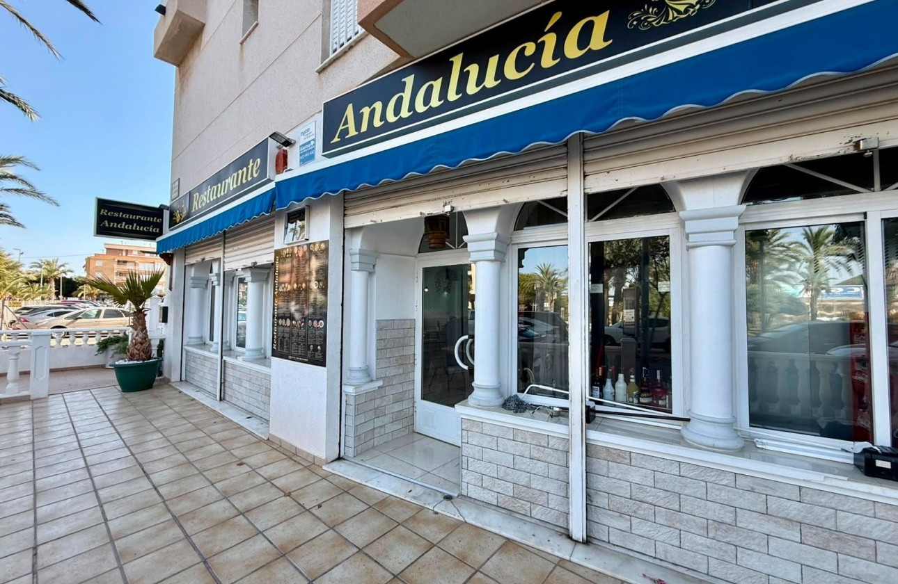 Reventa - Comercial - Guardamar del Segura - Los secanos