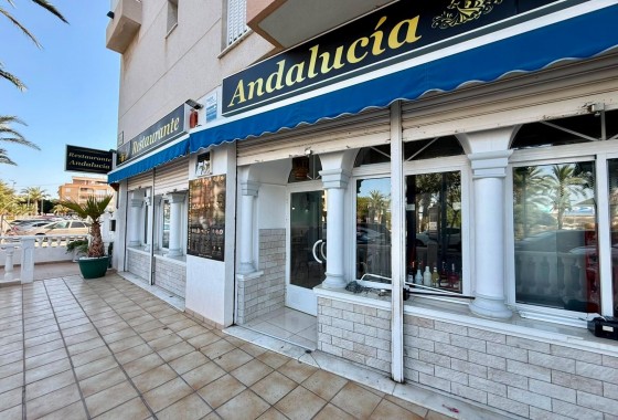 Reventa - Comercial - Guardamar del Segura - Los secanos
