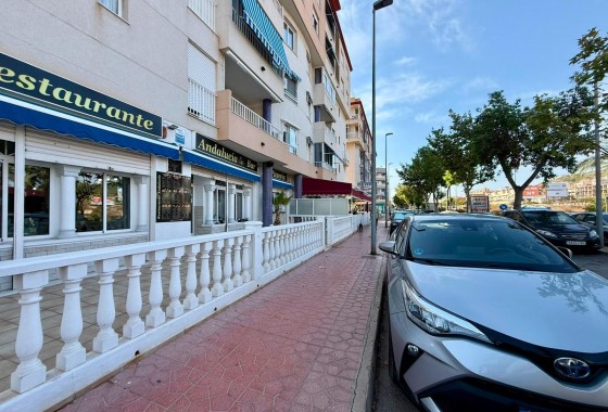 Reventa - Comercial - Guardamar del Segura - Los secanos