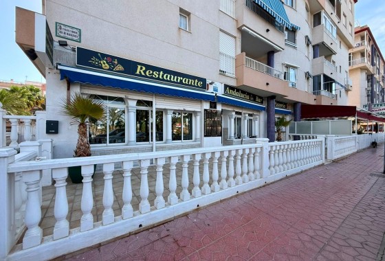 Reventa - Comercial - Guardamar del Segura - Los secanos