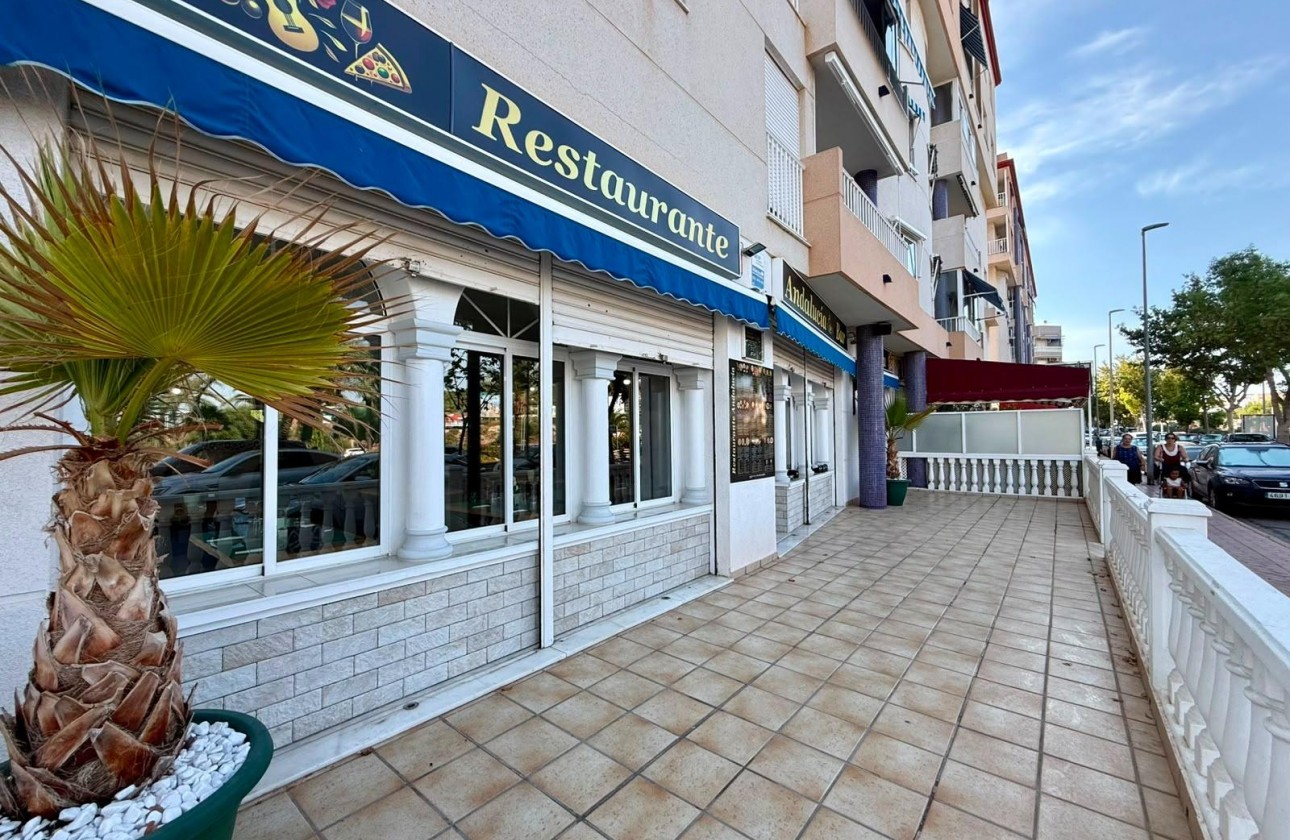 Reventa - Comercial - Guardamar del Segura - Los secanos