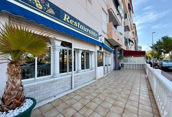Reventa - Comercial - Guardamar del Segura - Los secanos