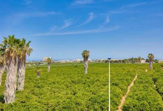 Reventa - Chalet - Torrevieja - Los balcones