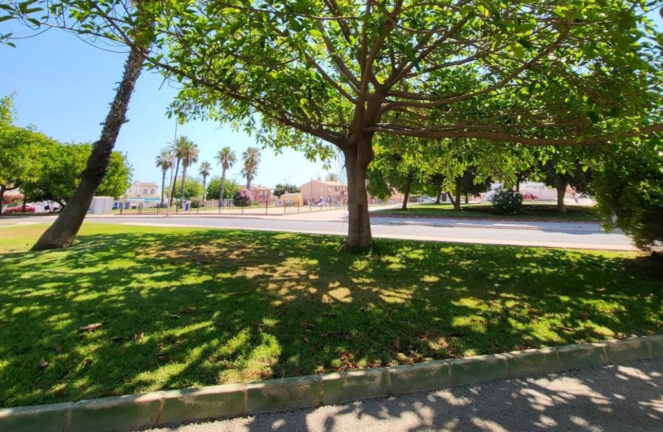 Resale - Apartment / flat - Torrevieja - Playa de los Locos