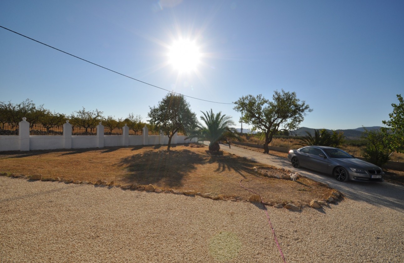 Revente - Property - Pinoso - Inland