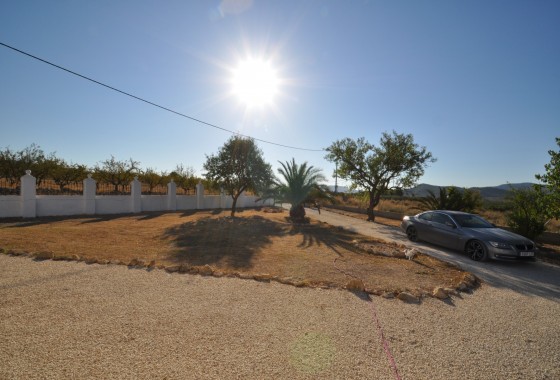 Revente - Property - Pinoso - Inland