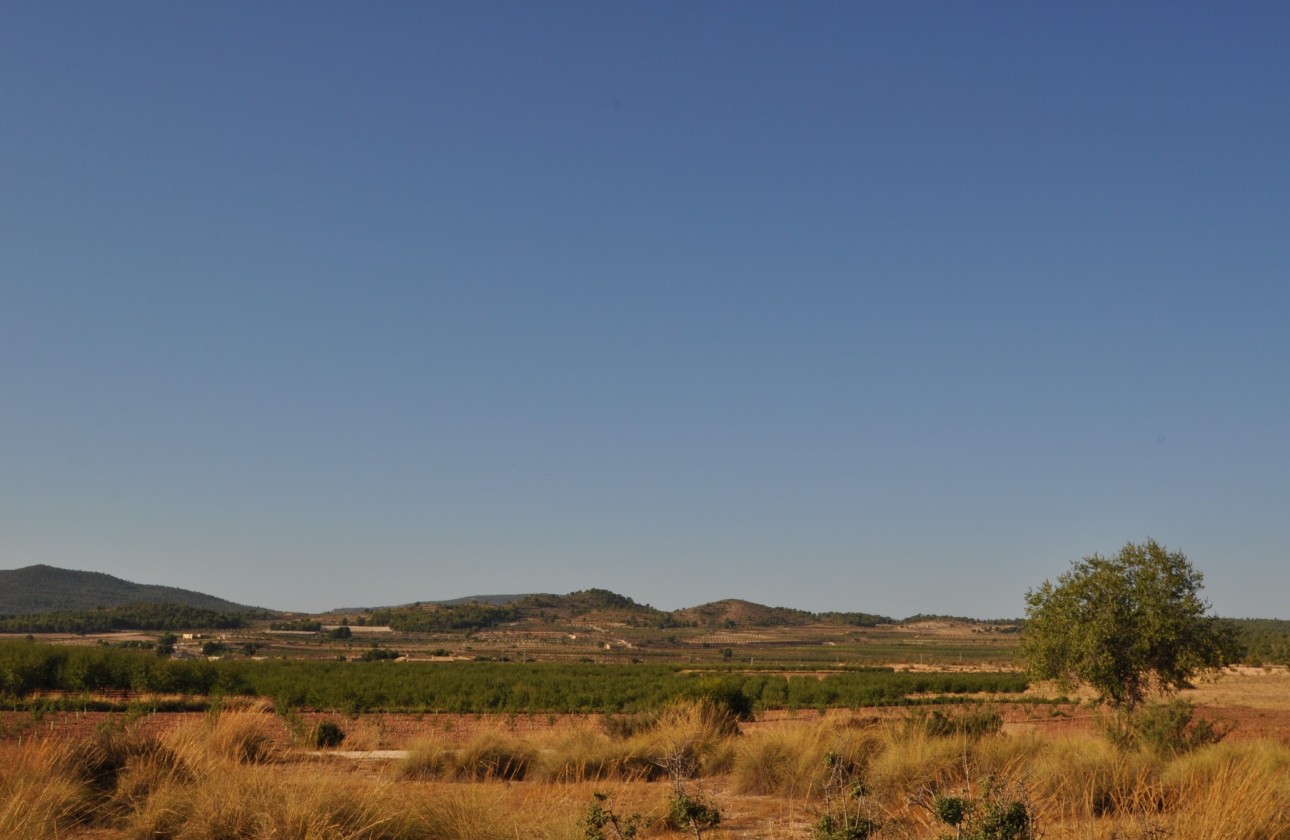 Revente - Property - Pinoso - Inland