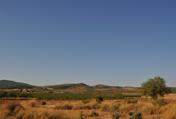 Revente - Property - Pinoso - Inland