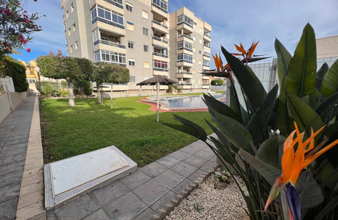 Reventa - Apartamento / piso - Torrevieja - Aguas Nuevas