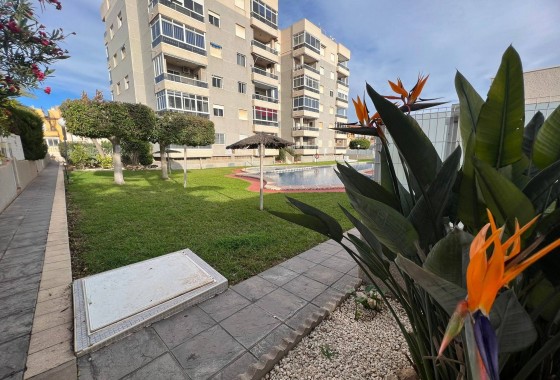 Reventa - Apartamento / piso - Torrevieja - Aguas Nuevas