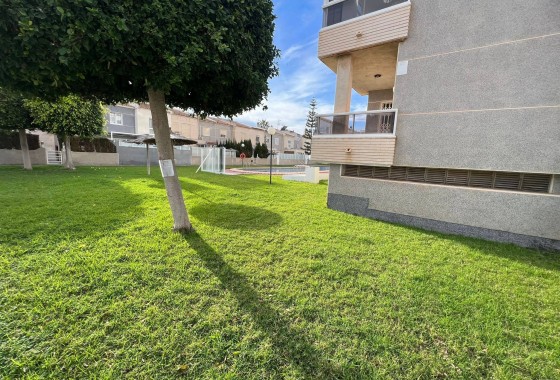 Reventa - Apartamento / piso - Torrevieja - Aguas Nuevas