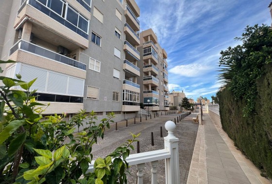 Reventa - Apartamento / piso - Torrevieja - Aguas Nuevas