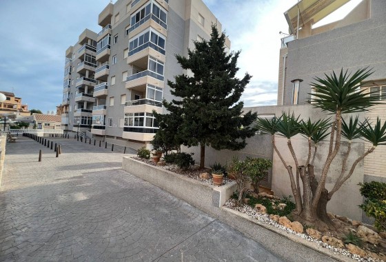 Reventa - Apartamento / piso - Torrevieja - Aguas Nuevas