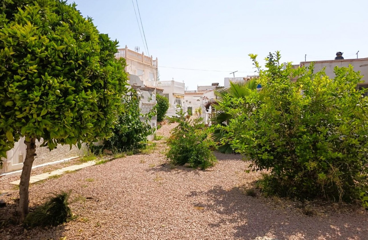 Revente - Bungalow - Torrevieja - Costa Blanca
