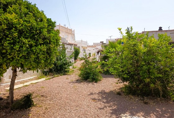 Revente - Bungalow - Torrevieja - Costa Blanca