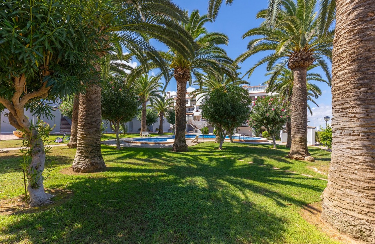 Resale - Apartment / flat - La Mata - Costa Blanca