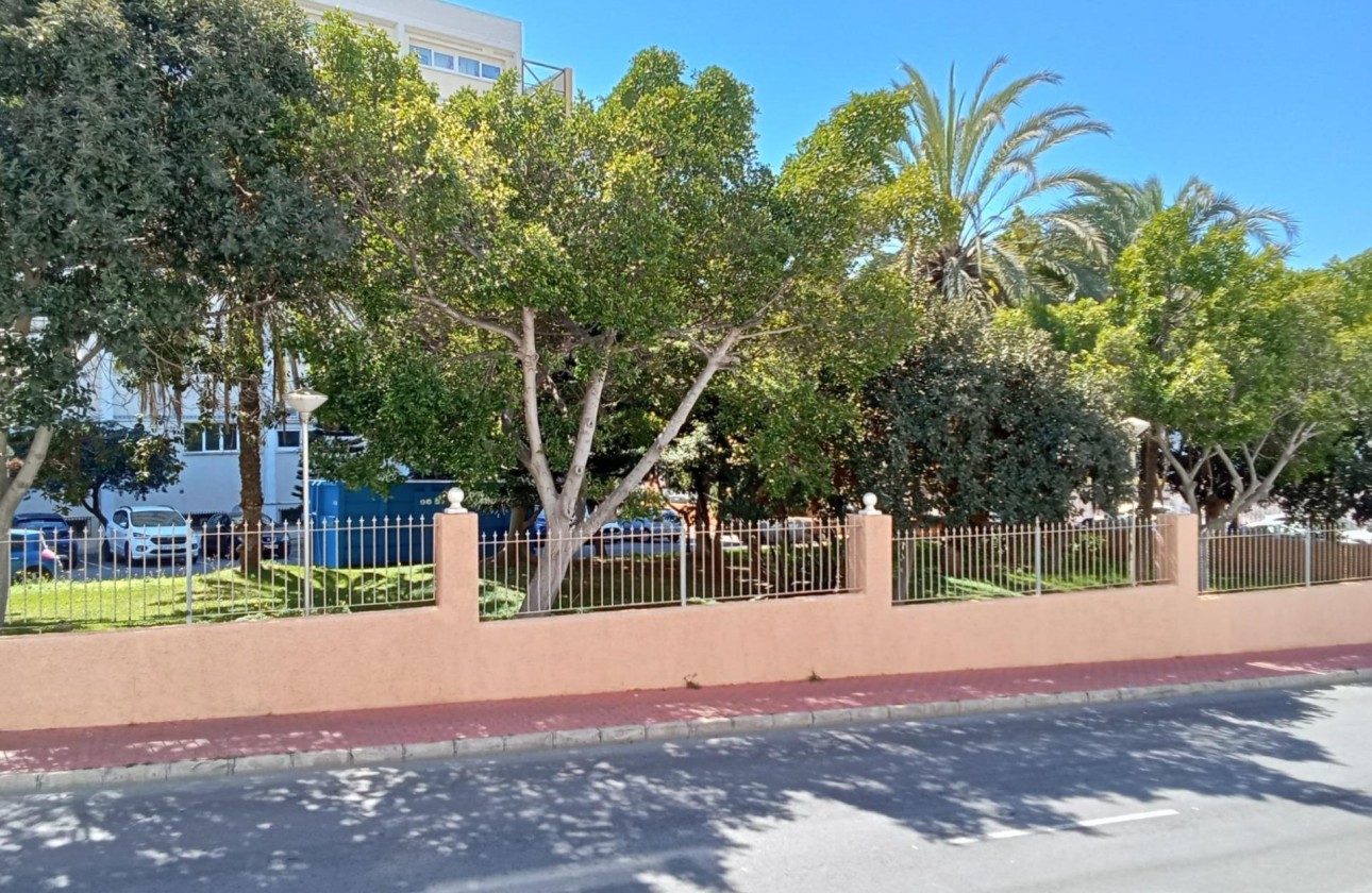 Resale - Apartment / flat - Torrevieja - Estacion de autobuses