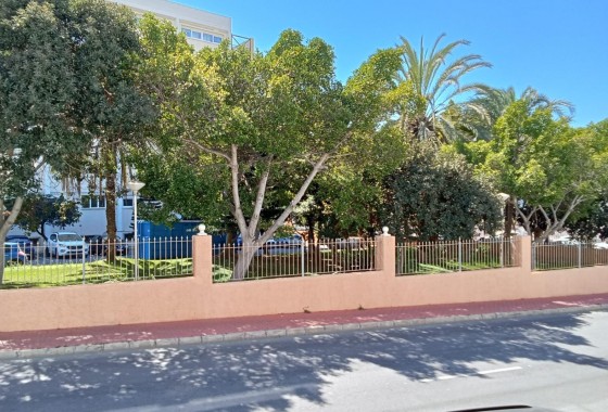 Resale - Apartment / flat - Torrevieja - Estacion de autobuses