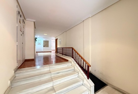Reventa - Apartamento / piso - Torrevieja - Estacion de autobuses