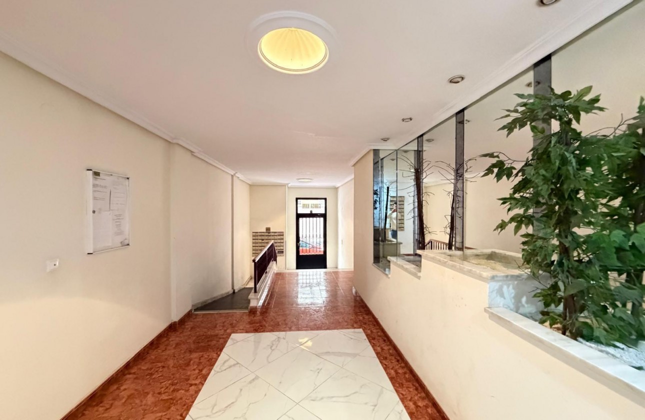 Reventa - Apartamento / piso - Torrevieja - Estacion de autobuses