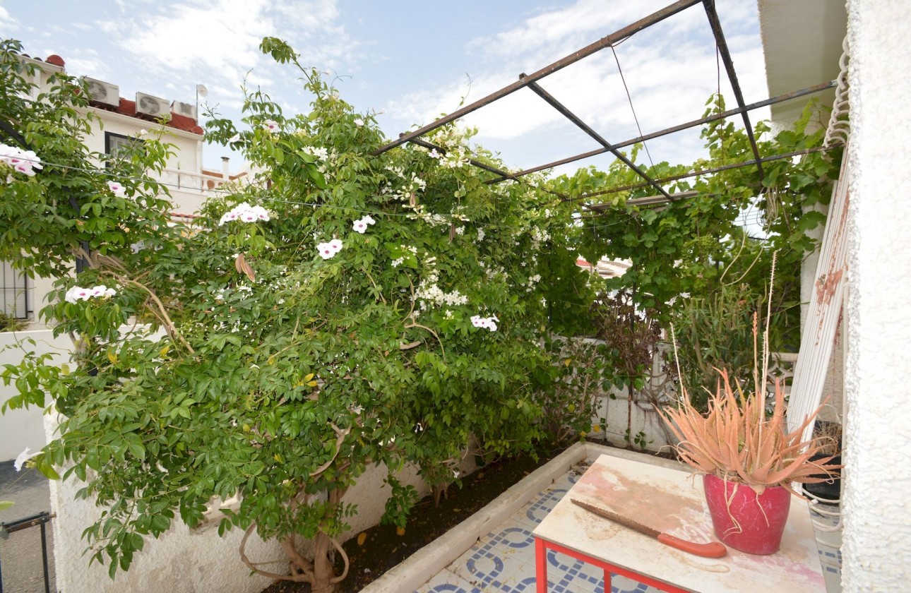 Reventa - Chalet - Torrevieja - Costa Blanca