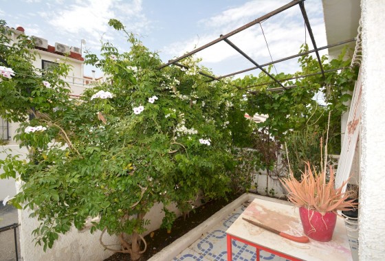 Reventa - Chalet - Torrevieja - Costa Blanca