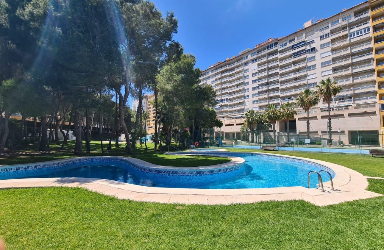 Resale - Apartment / flat - Orihuela Costa - Campoamor