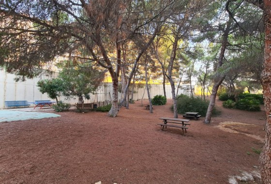 Resale - Apartment / flat - Orihuela Costa - Campoamor