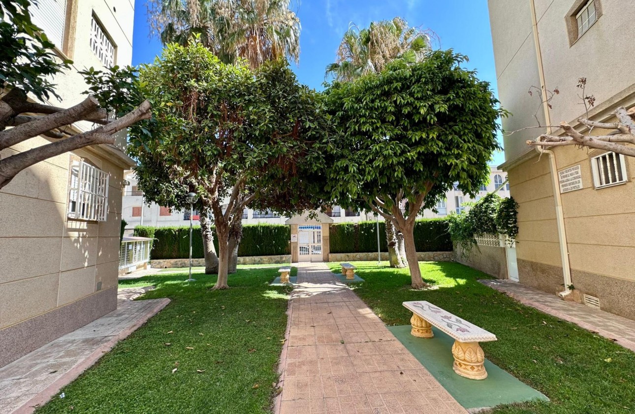 Reventa - Apartamento / piso - Torrevieja - Habaneras
