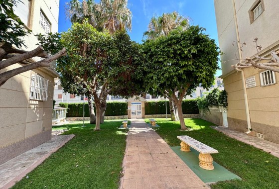 Reventa - Apartamento / piso - Torrevieja - Habaneras