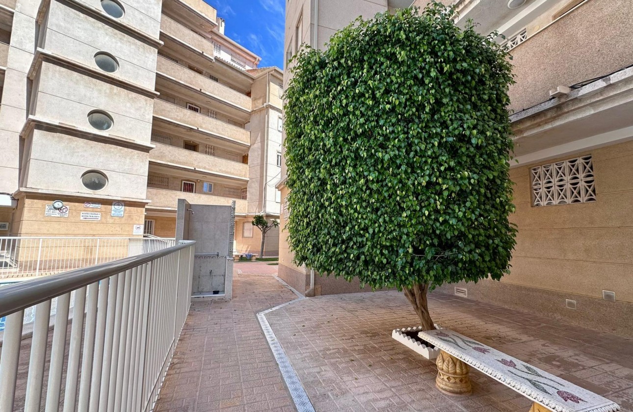 Reventa - Apartamento / piso - Torrevieja - Habaneras